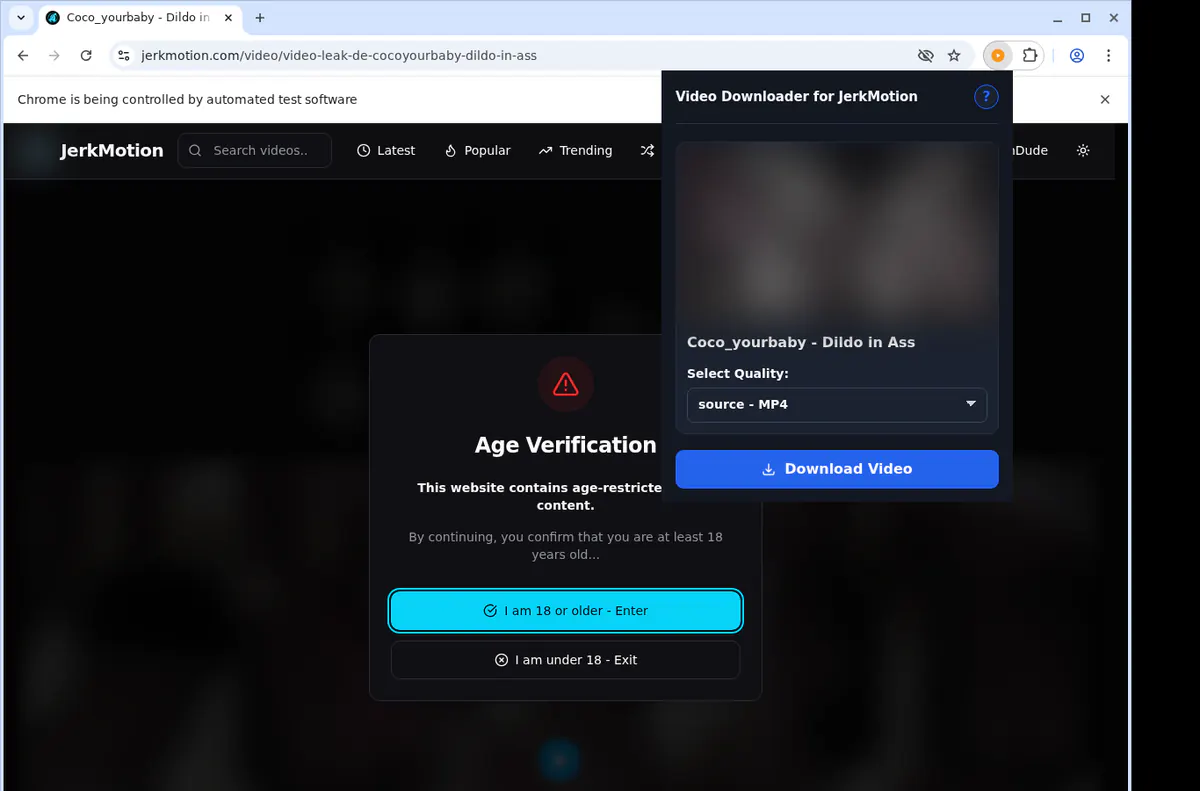 Jerkmotion Video Downloader screenshot 3