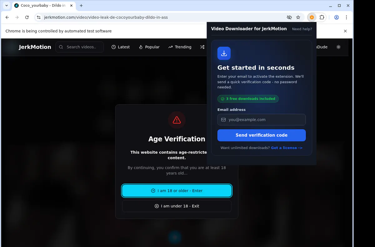 Jerkmotion Video Downloader screenshot 4